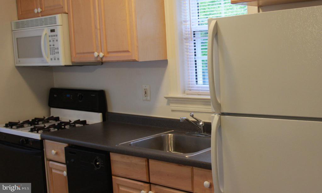 LYON PARK - Residential Lease