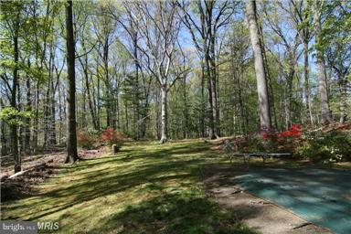 BRADLEY HILLS GROVE - Land