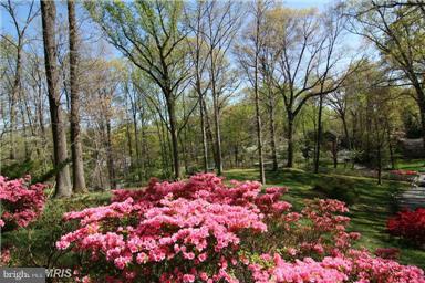 BRADLEY HILLS GROVE - Land