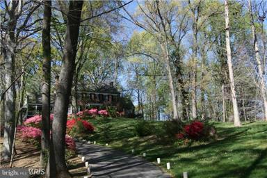 BRADLEY HILLS GROVE - Land