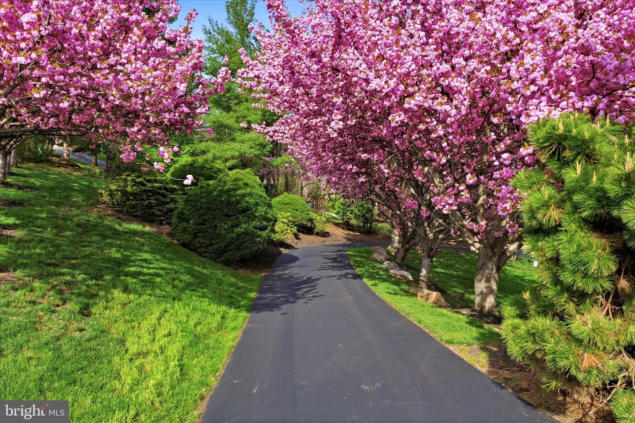 LAKERIDGE - Residential