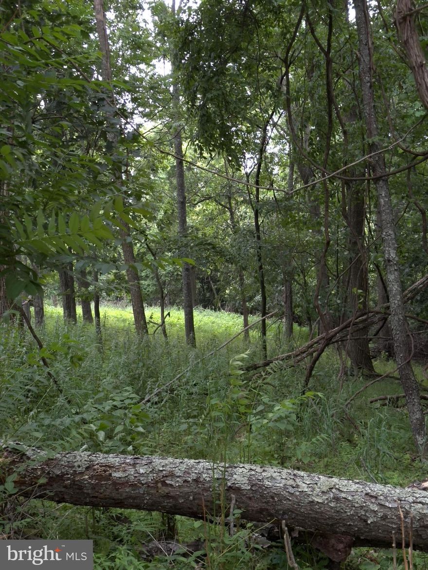 The road less taken leads to this 6 acre parcel.  4WD or a high clearance AWD vehicle needed.  Abundant wildlife have been reported.  The views are incredible once you reach the tip top.