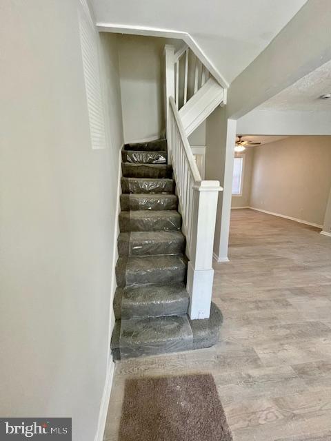 DARLEY PARK - Residential Lease