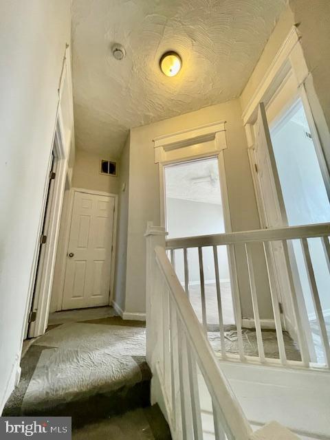 DARLEY PARK - Residential Lease