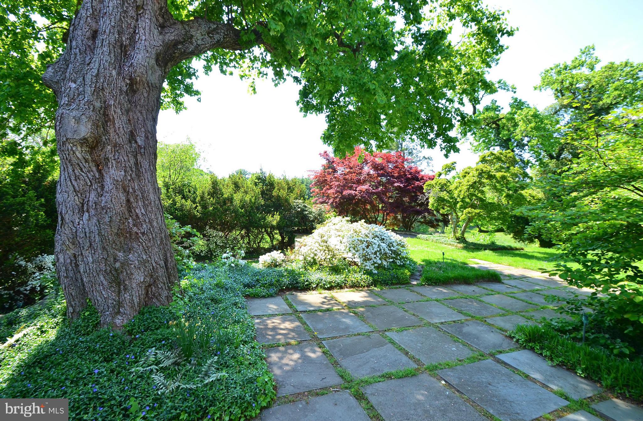 ROLAND PARK - Residential