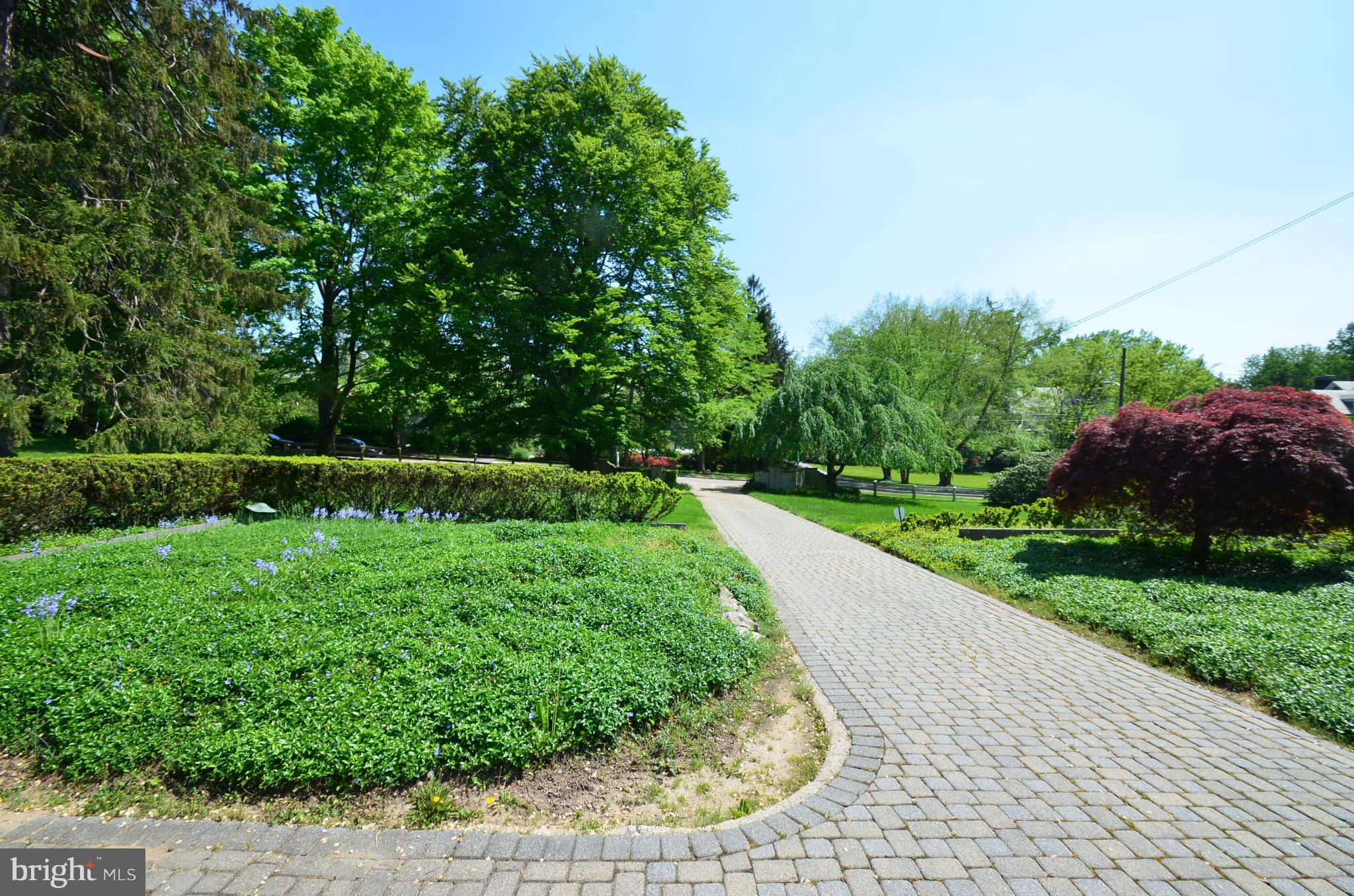 ROLAND PARK - Residential