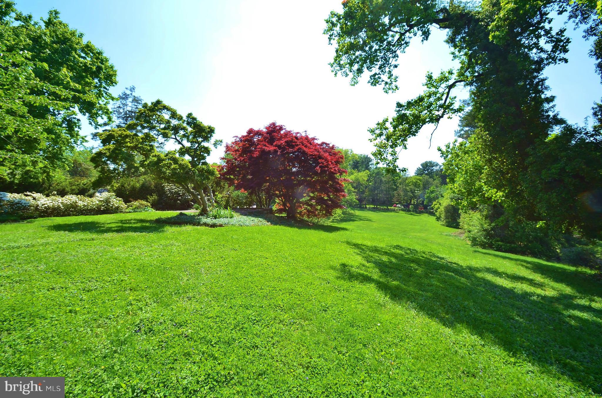 ROLAND PARK - Residential