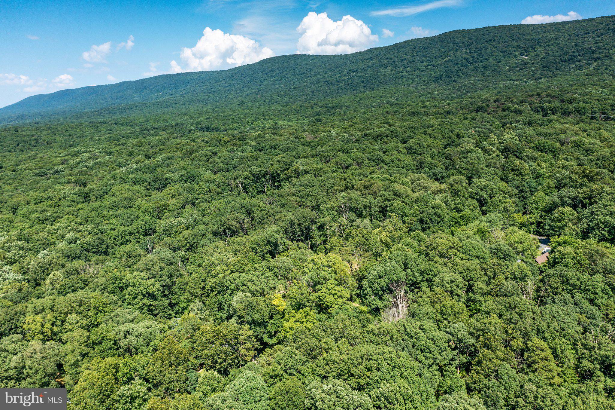 FLEMING PARK - Residential