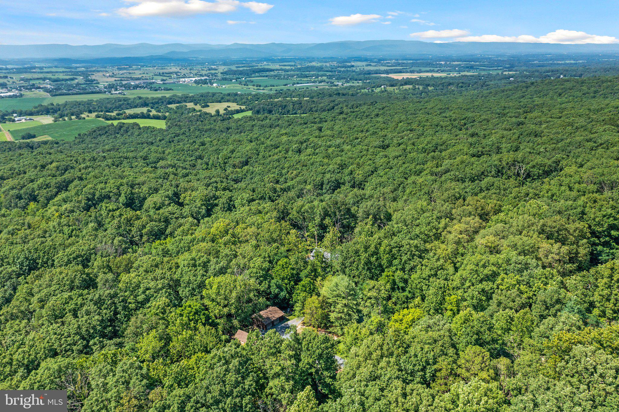 FLEMING PARK - Residential