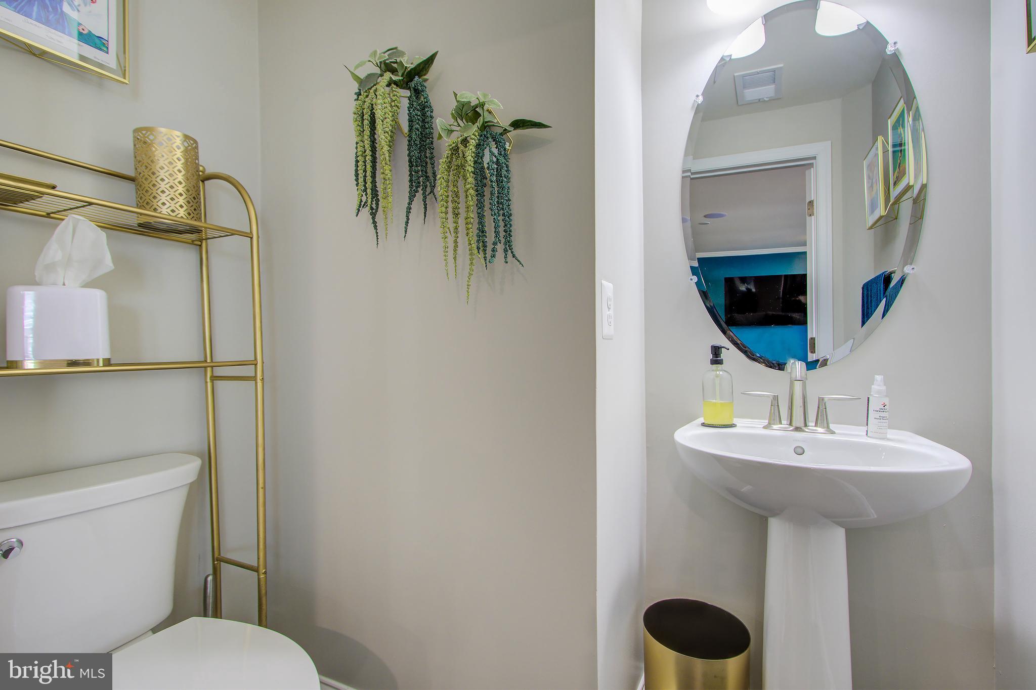 BIRCHWOOD AT BRAMBLETON - Residential