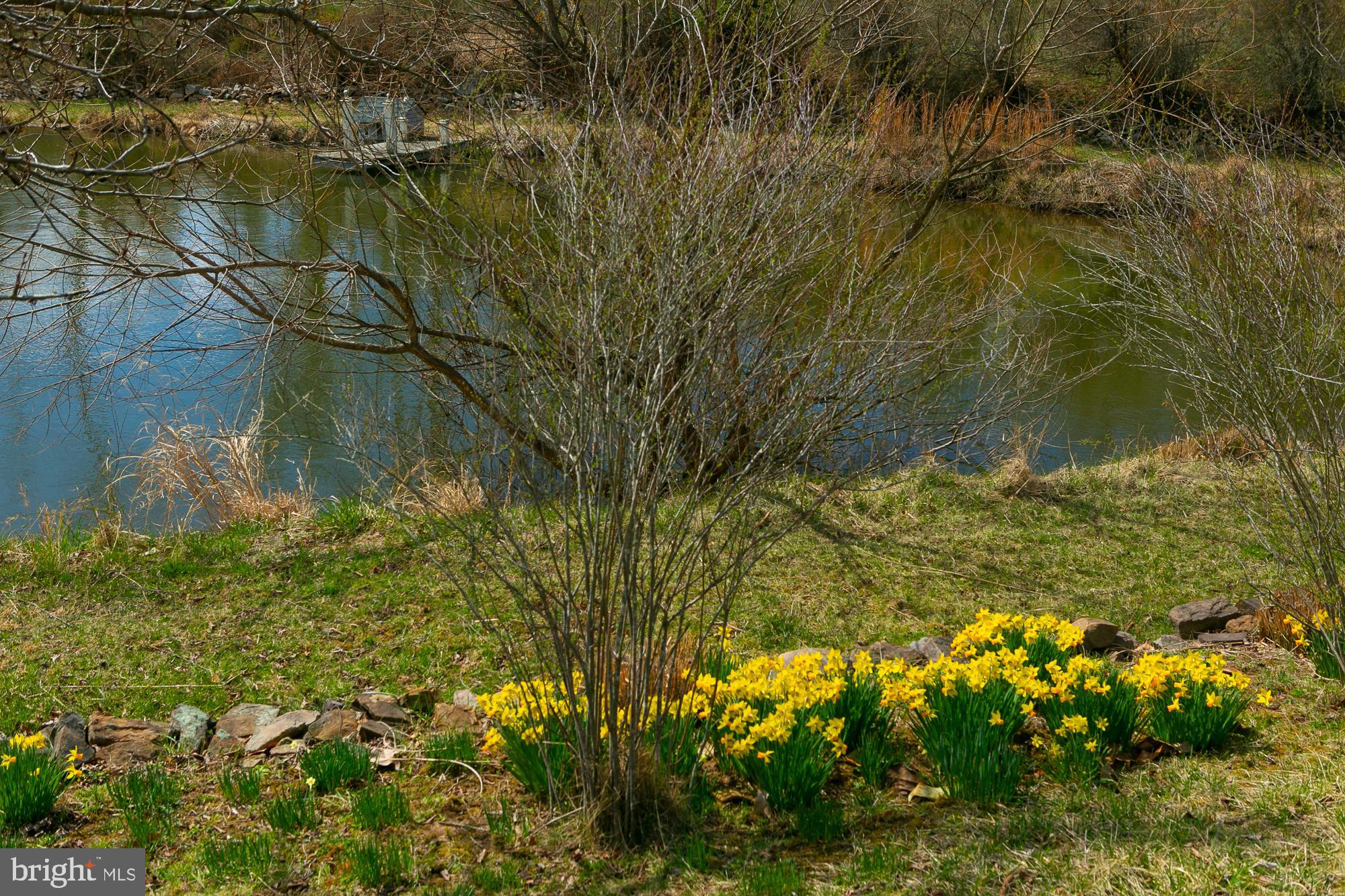 HIGH VIEW FARMS - Residential