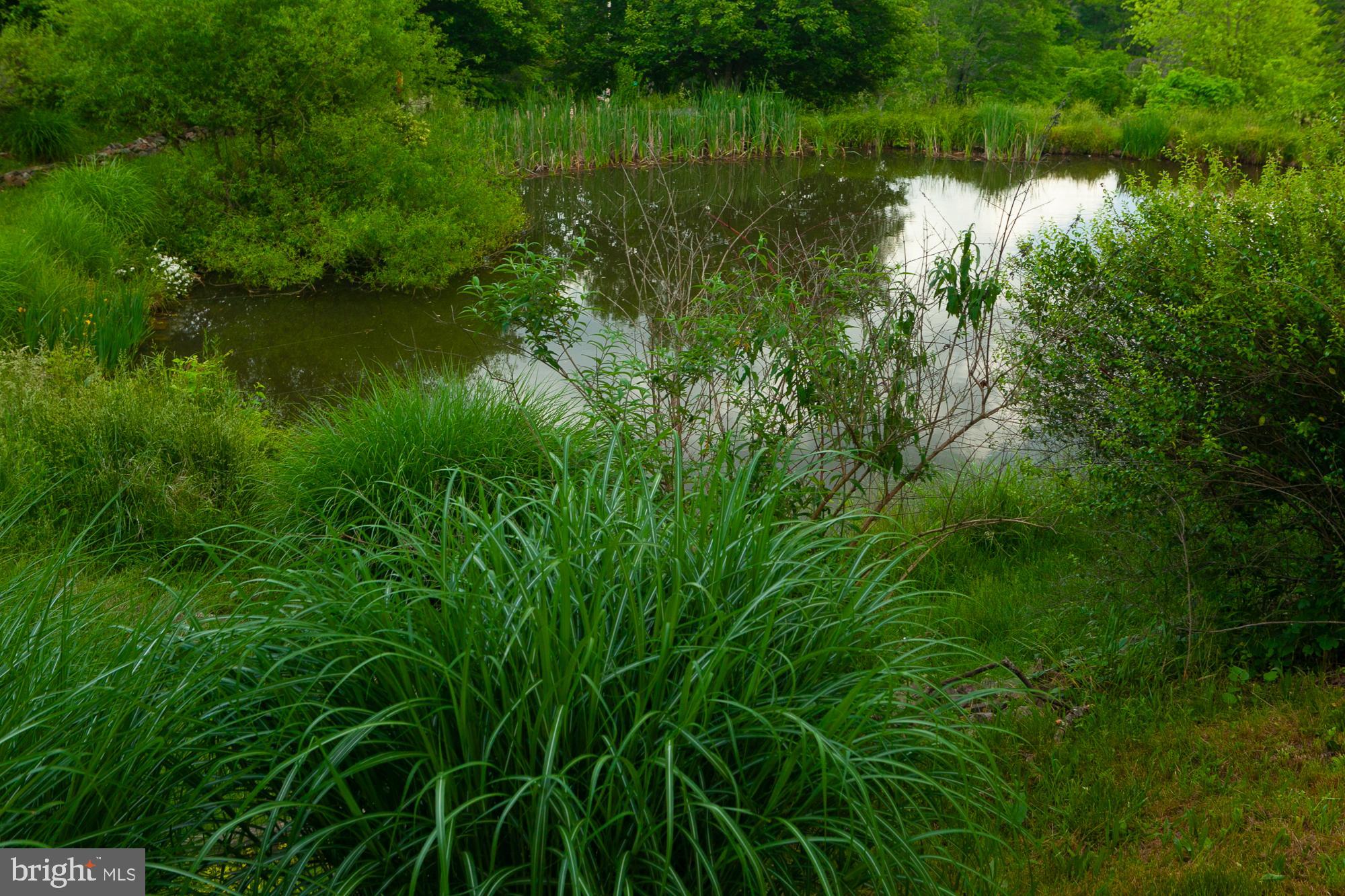 HIGH VIEW FARMS - Residential