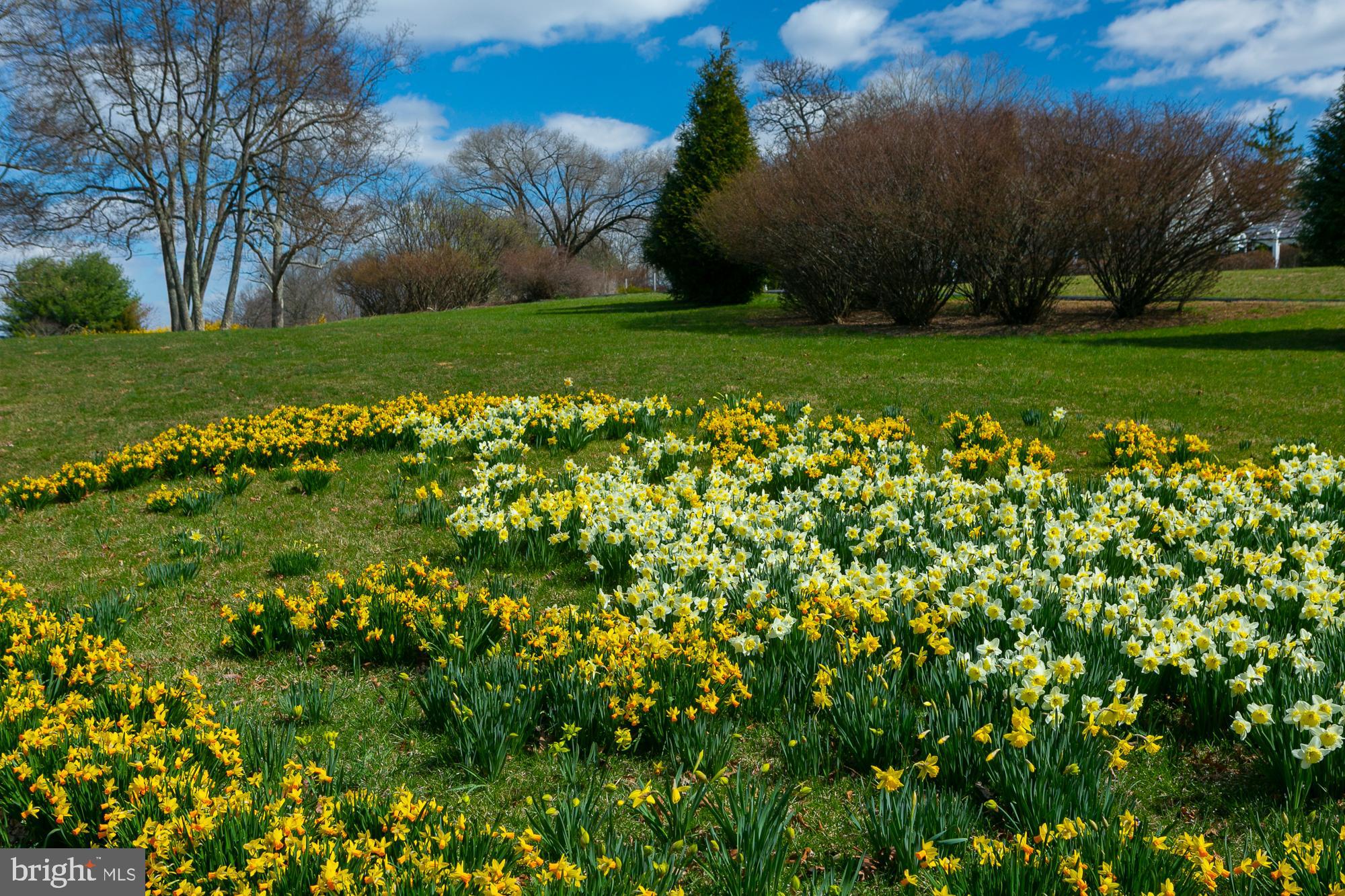 HIGH VIEW FARMS - Residential