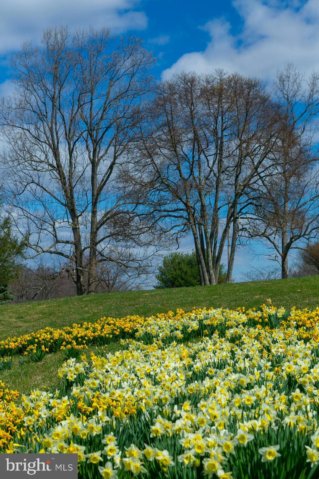 HIGH VIEW FARMS - Residential