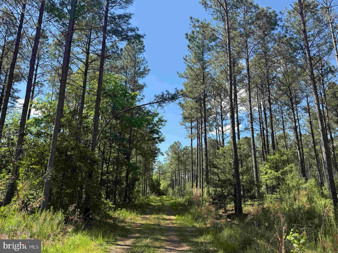 HUNTINGTON ROAD (TRACT: SURRY WILLIAM-SHARP-1)