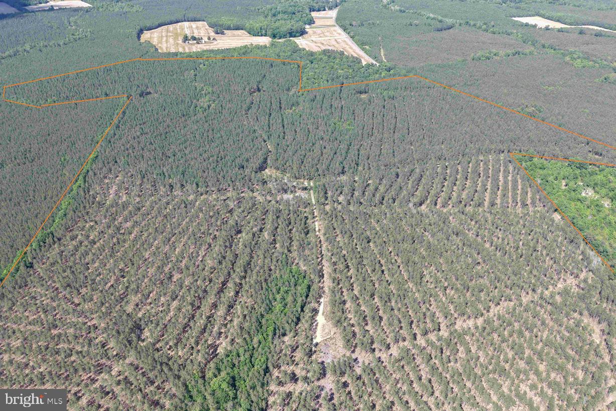 HUNTINGTON ROAD (TRACT: SURRY WILLIAM-SHARP-1)