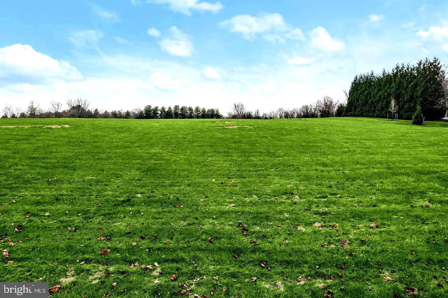 CATTAIL CREEK - Residential