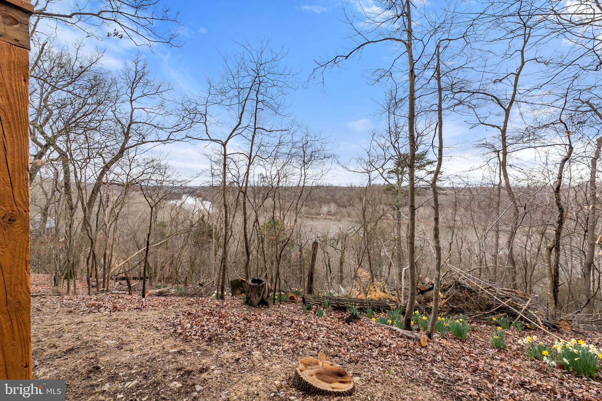 BLUE RIDGE ACRES - Residential