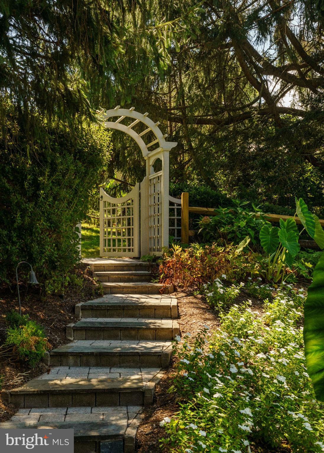 HEARTSEASE - Residential