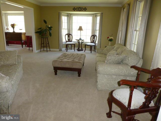 OLD BRIDGE ESTATES - Residential