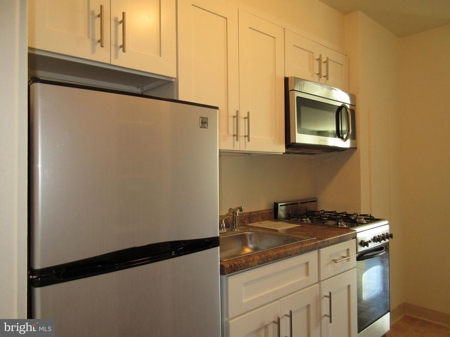 Beautifully updated studio with southern treetop views at Hopkinson House on Washington Square! Enter through a foyer with large coat closet into the spacious great room beaming with natural light from oversized windows overlooking the building's landscaped courtyard. Adjacent is the updated open kitchen with white shaker cabinetry and stainless steel appliances. There is a separate dressing area with excellent closet space that leads to the full bathroom with white vanity, tub shower, and upgraded tile floor. Additionally this home enjoys parquet wood floors and excellent storage space throughout. Residents of Hopkinson House enjoy a 24-hour doorman and on-site management. There is a seasonal rooftop pool with see-forever city views and valet parking in the building for an additional fee, subject to availability. Hopkinson House is in close proximity to many of the city's historic and cultural sites, some of the city's best shopping and dining and provides easy access to the Broad Street and Market Street office corridors, as well as 676, 95, Amtrak's 30th Street Station and the Philadelphia International Airport.