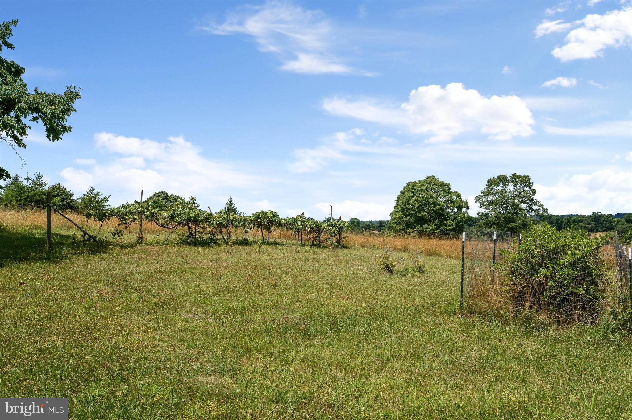 REDSTONE MOUNTAIN - Residential