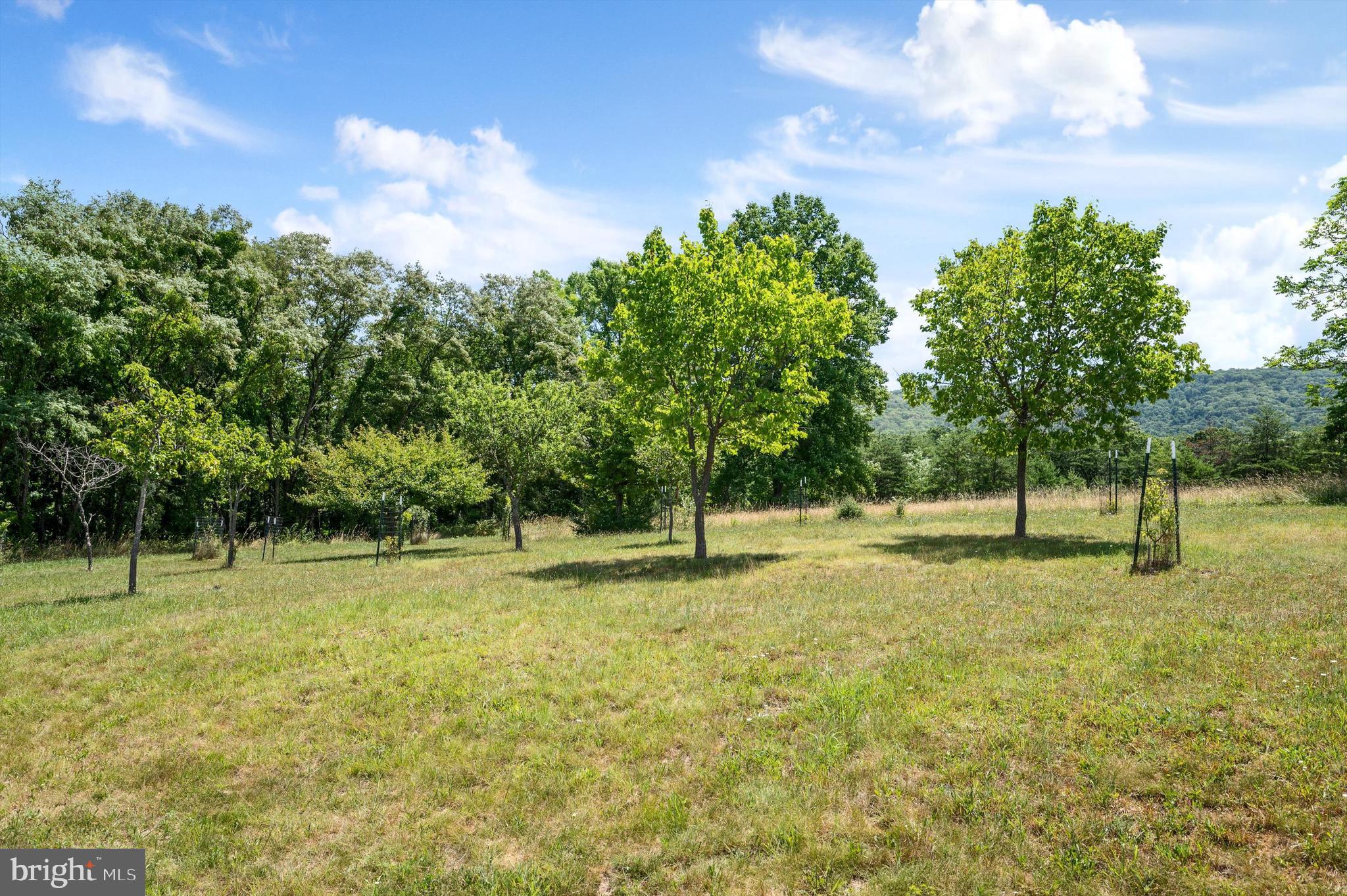 REDSTONE MOUNTAIN - Residential