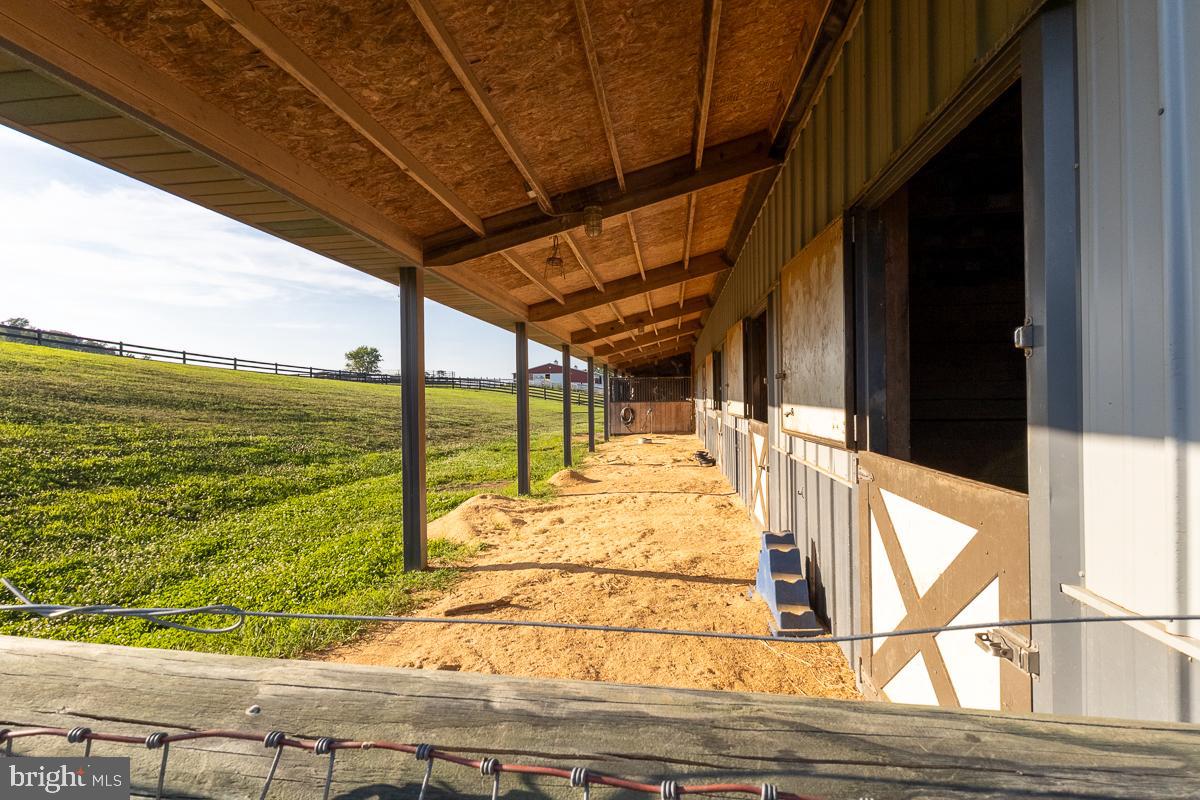 NONE AVAILABLE - Farm