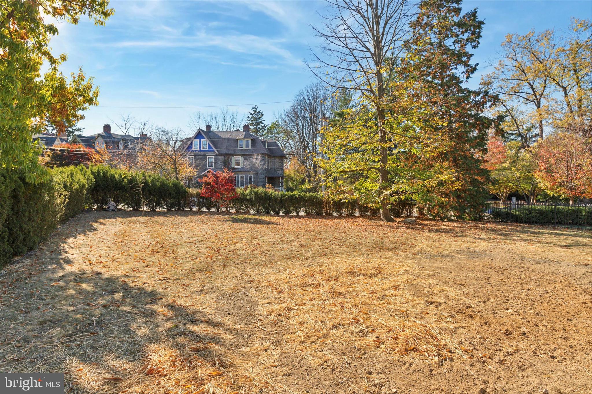CHESTNUT HILL - Residential