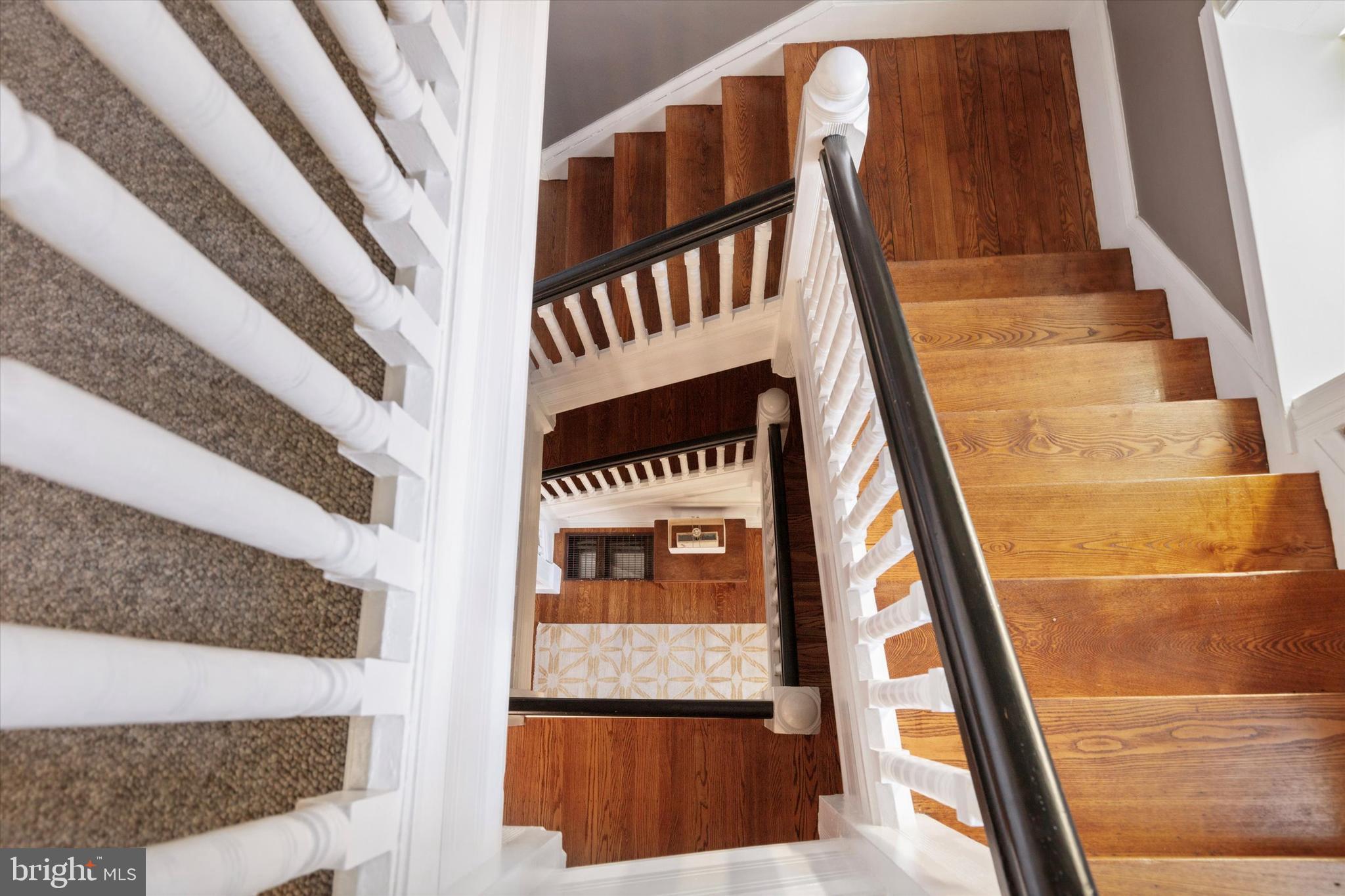 CHESTNUT HILL - Residential