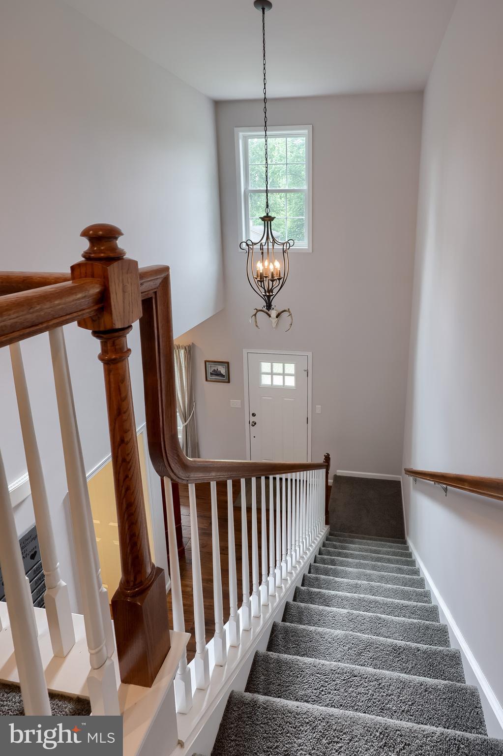 LEAF PARK - Residential