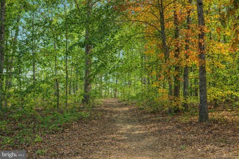 Tiny photo for 35623 Pine Needle Lane, LOCUST GROVE, VA 22508 (MLS # VAOR2013562)