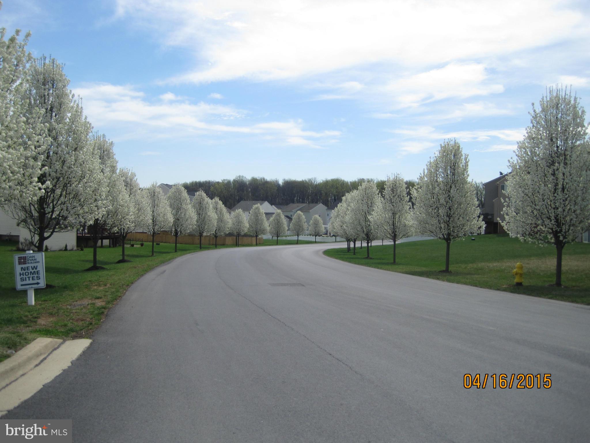 THE GALLERY - Residential