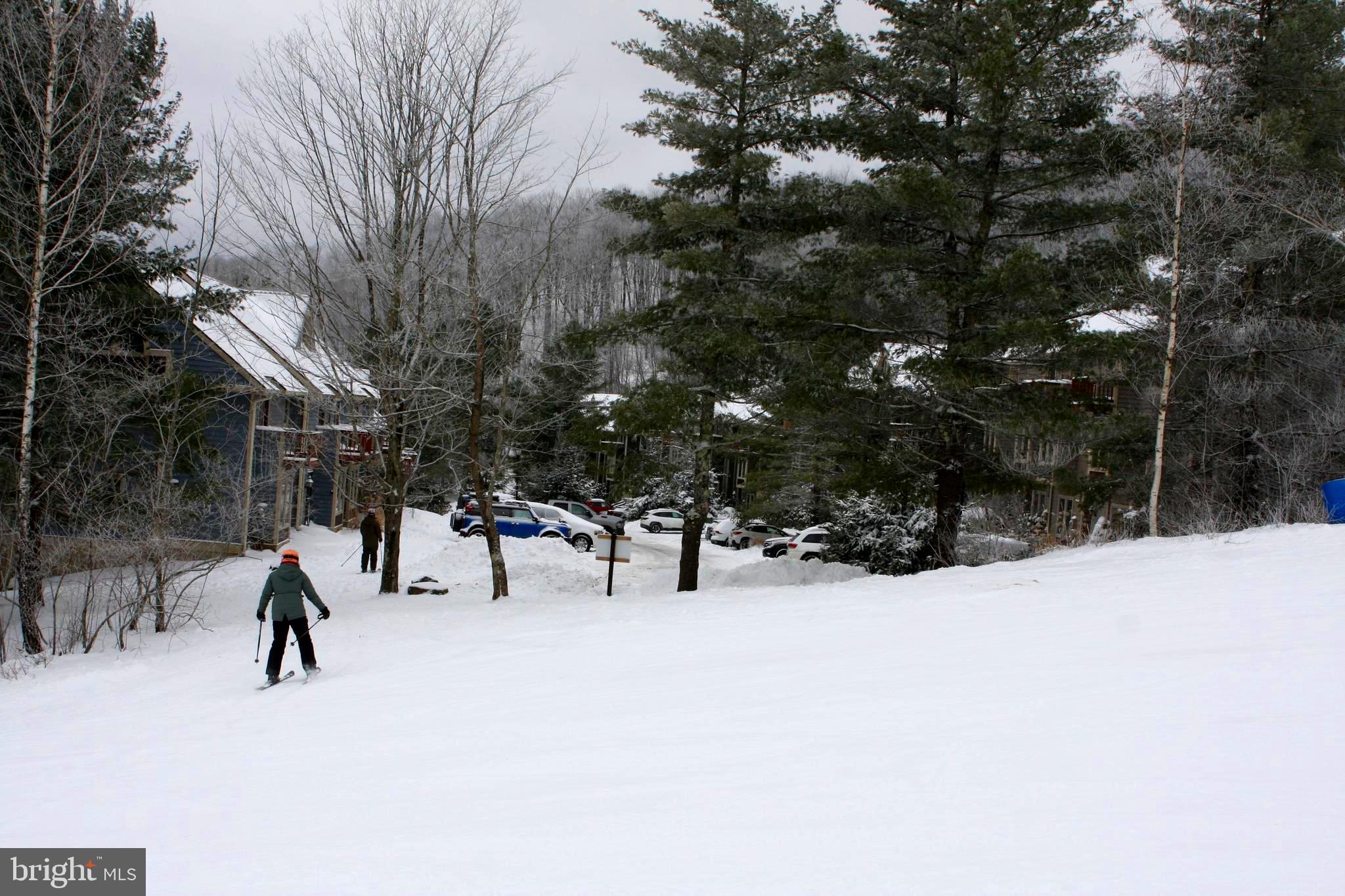 VILLAGES OF WISP - Residential