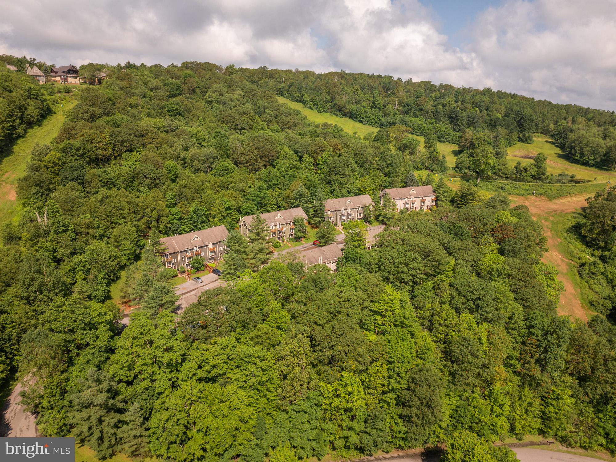 VILLAGES OF WISP - Residential