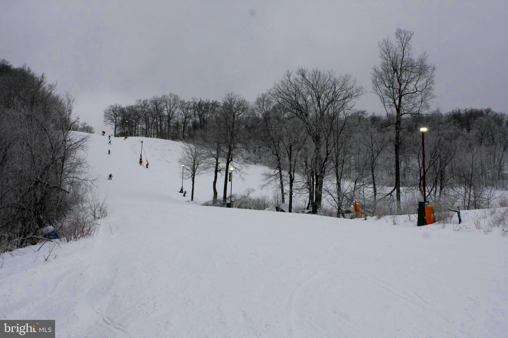 VILLAGES OF WISP - Residential