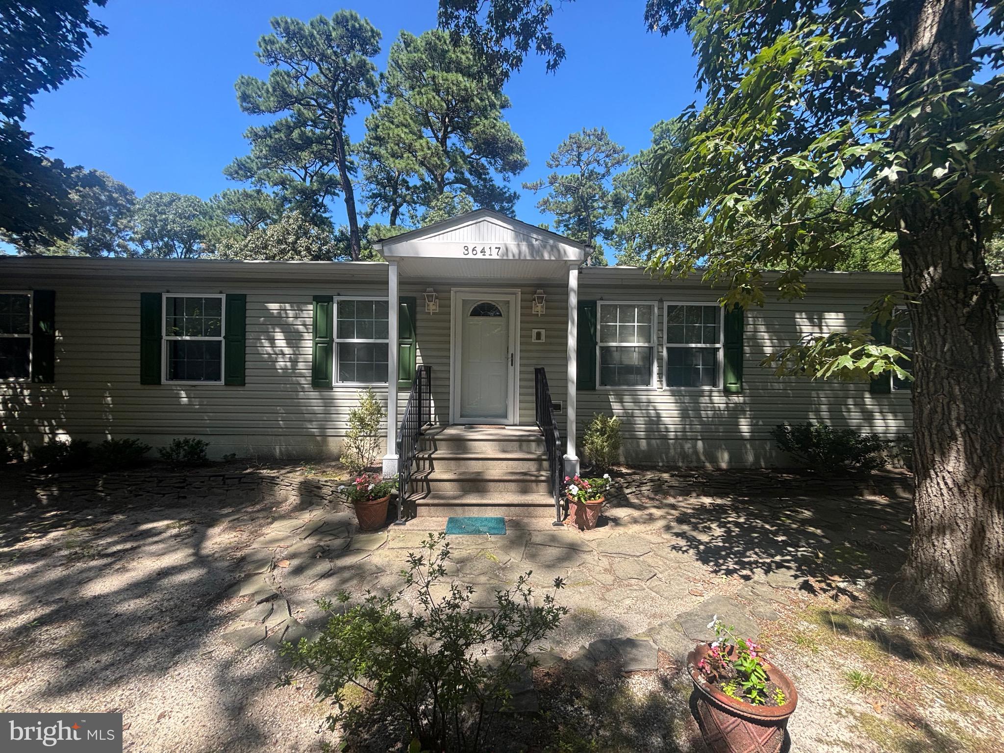 36417 FIR DRIVE