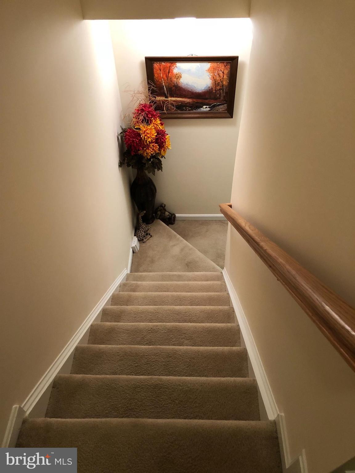 TIDEWATER PLAINS - Residential