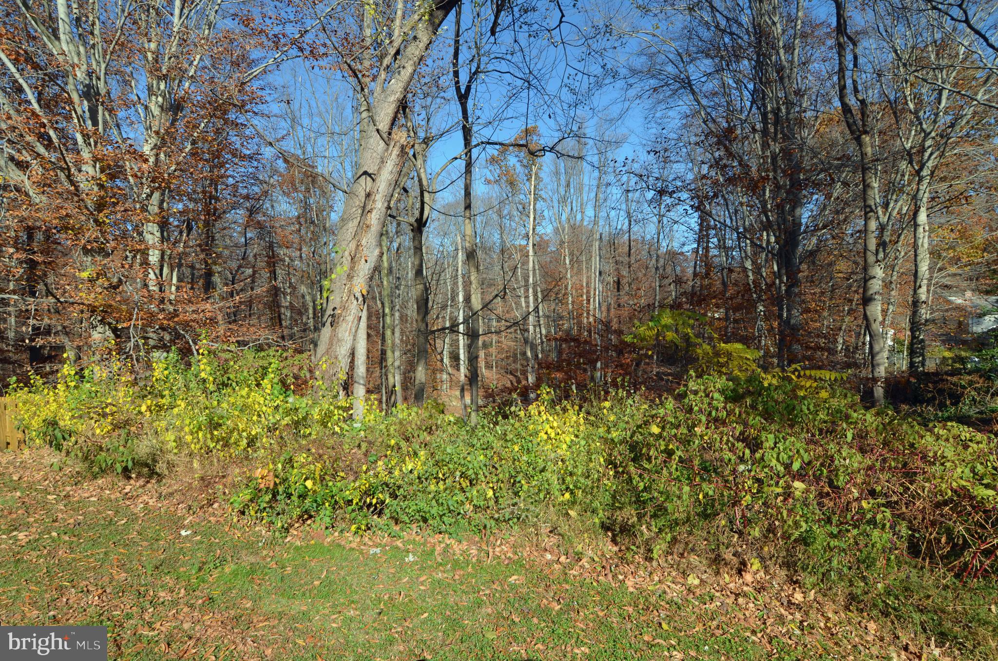 CANTERBURY WOODS - Residential