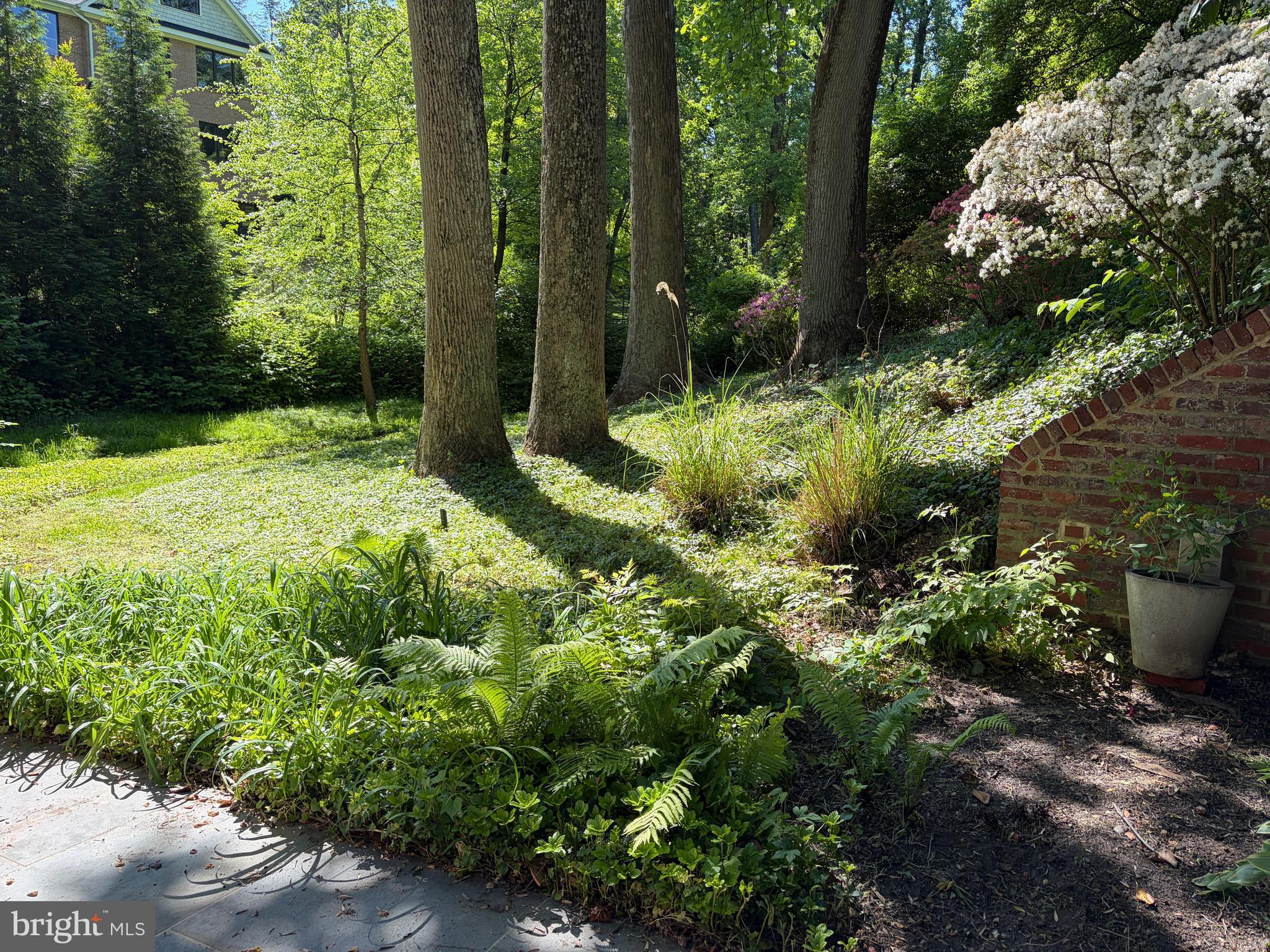ROLLINGWOOD - Residential
