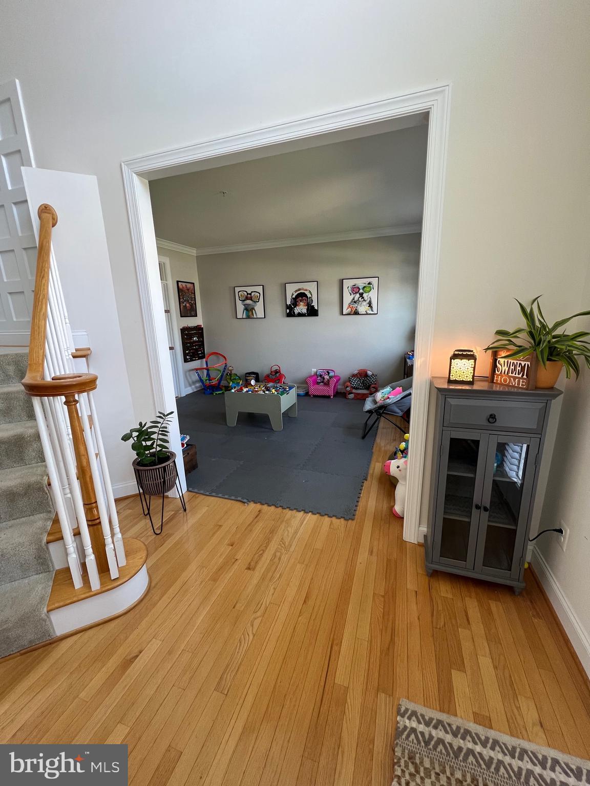 TURNBURY RUN AT ZEBRON - Residential