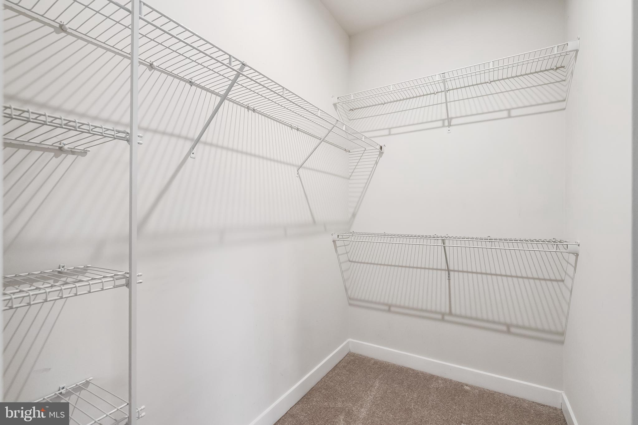 BLACKBURN VILLAGE - Residential