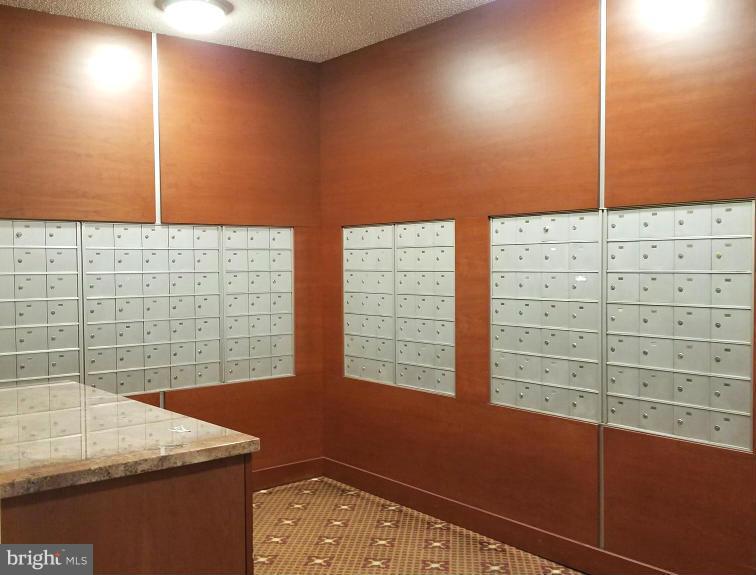 3709 GEORGE MASON DRIVE 710