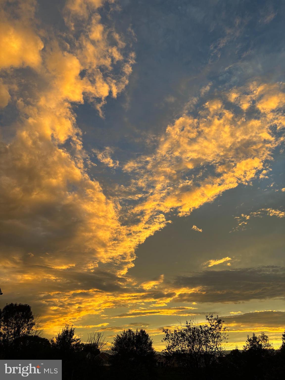 SOUTH MEADOW - Residential