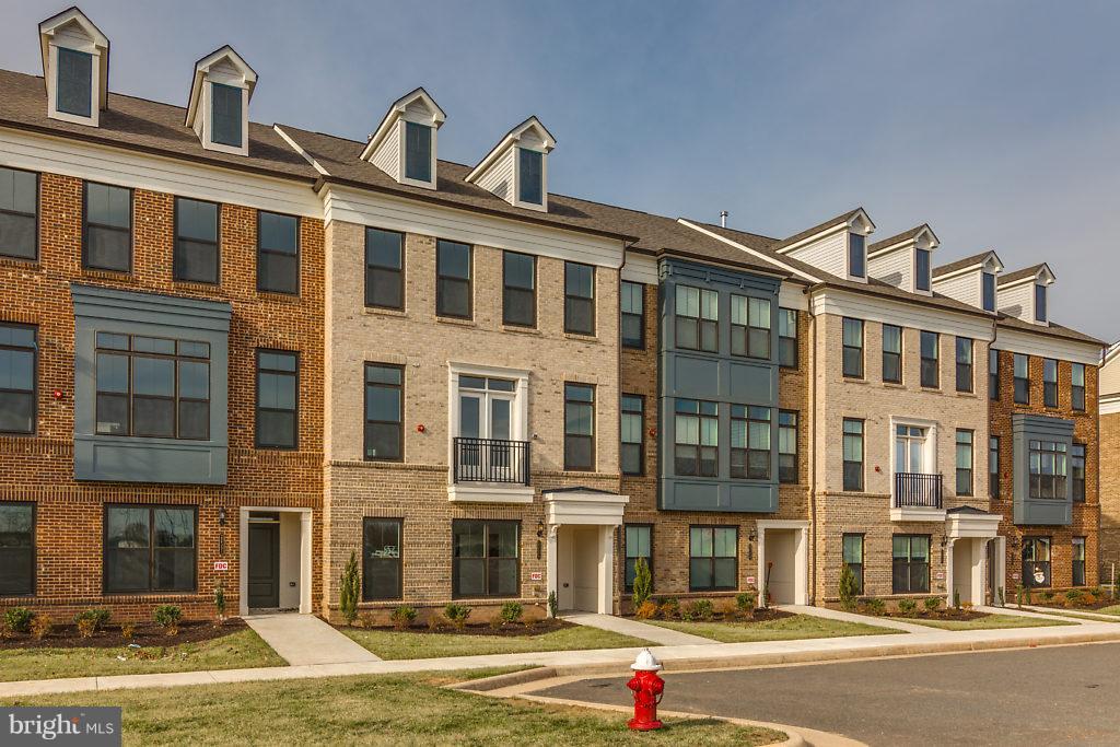 22589 AMENDOLA TERRACE