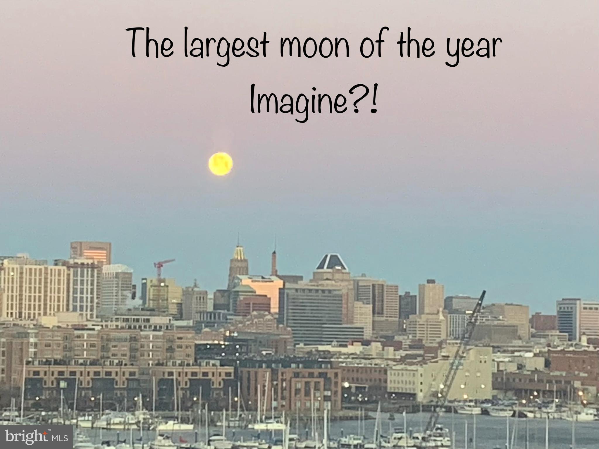 LIGHTHOUSE POINT EAST - Residential Lease