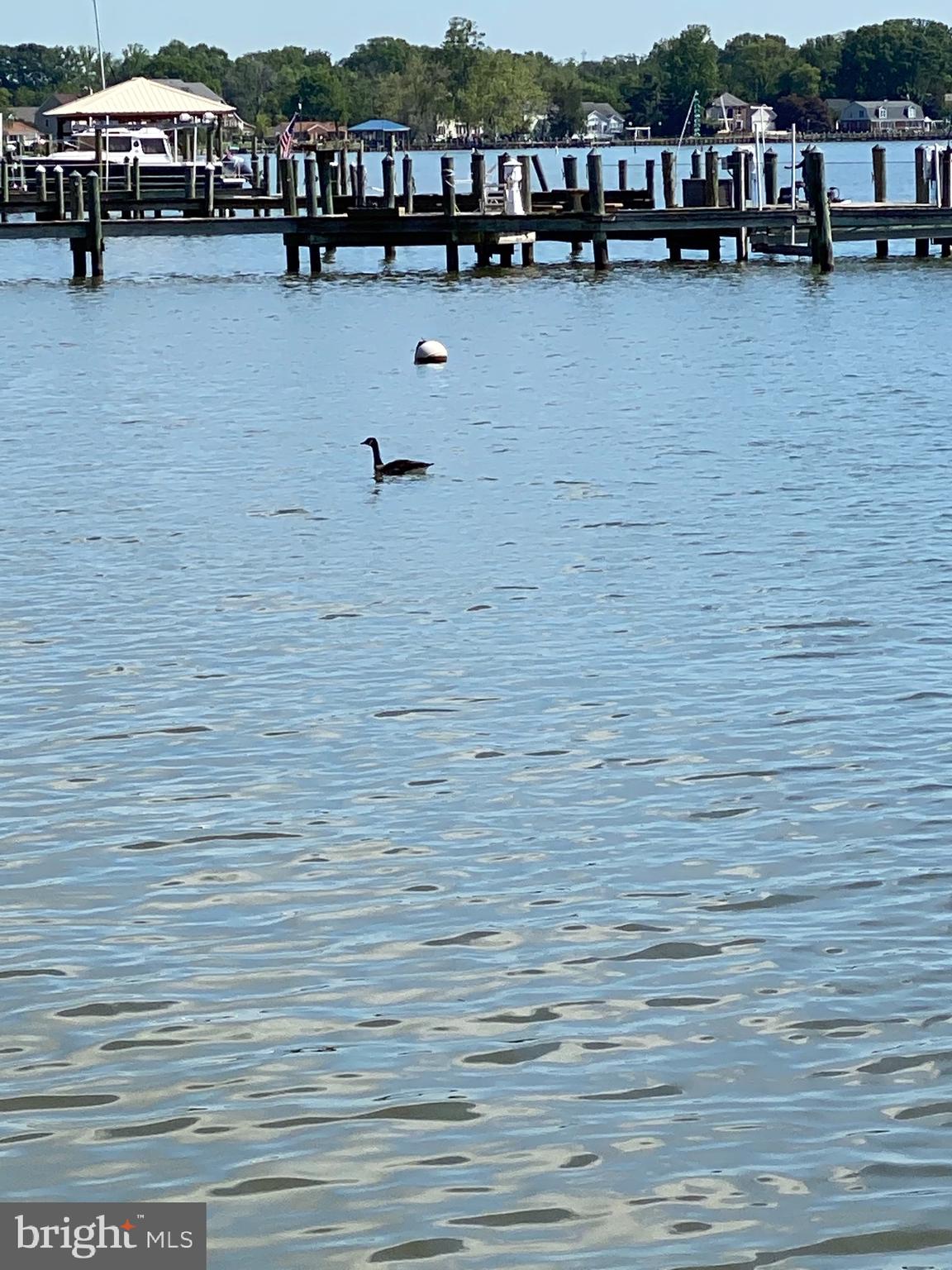 HERITAGE HARBOR - Residential