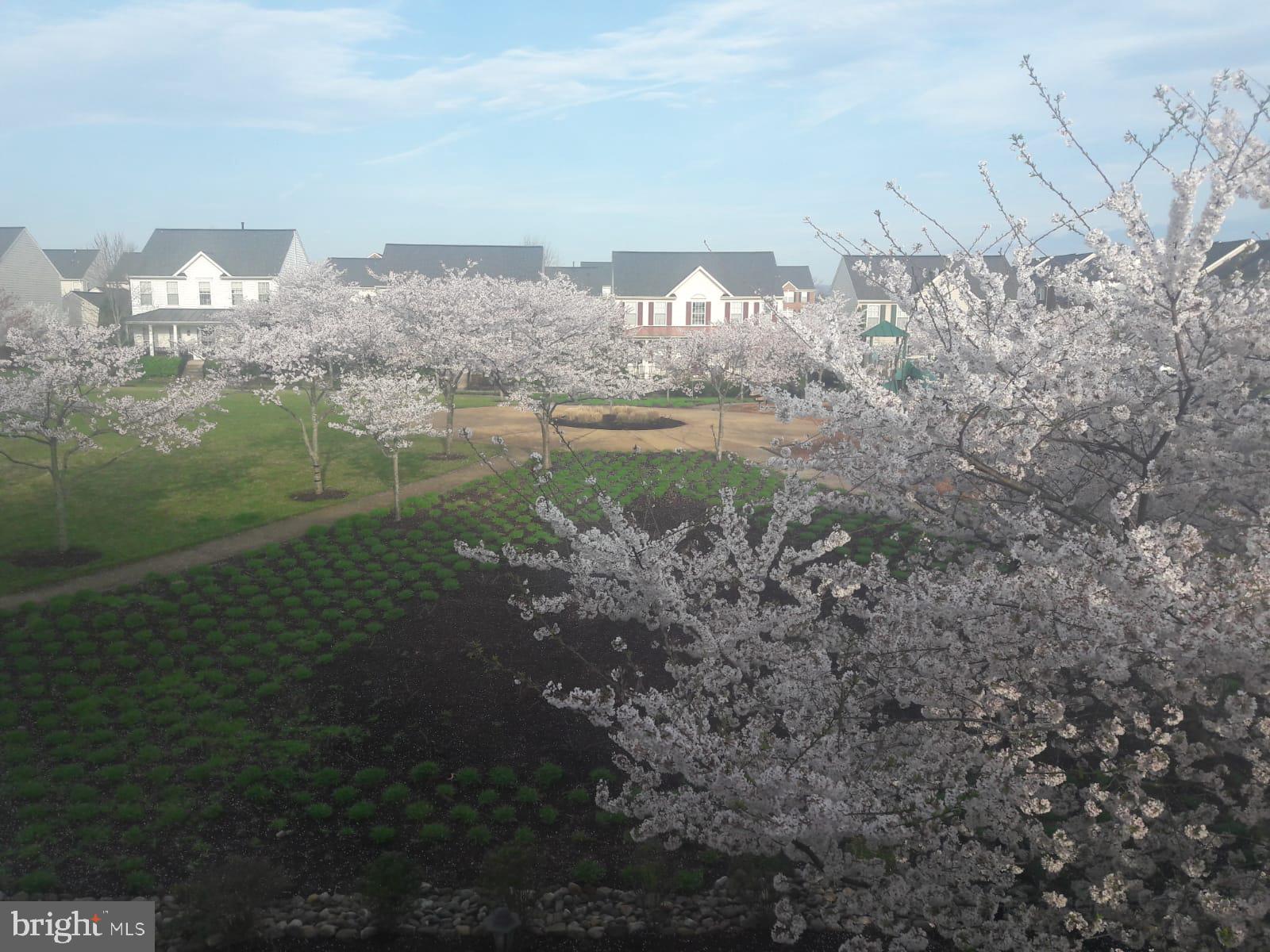 PIEDMONT SOUTH - Residential