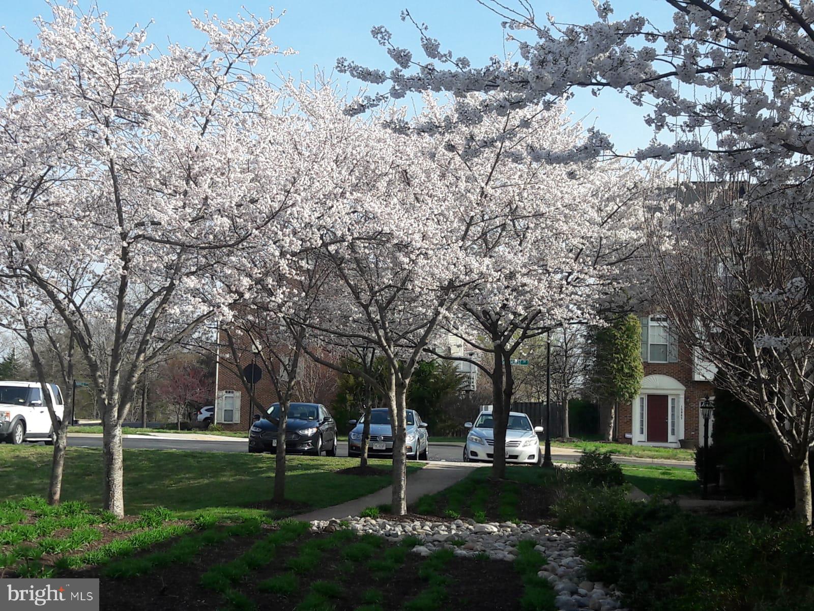 PIEDMONT SOUTH - Residential