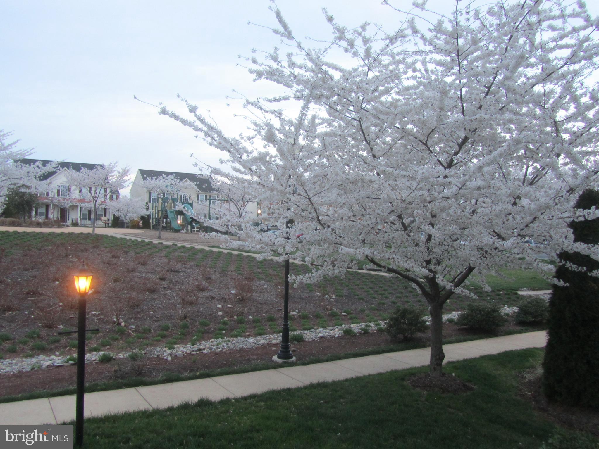 PIEDMONT SOUTH - Residential